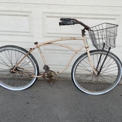 Schwinn Cruiser