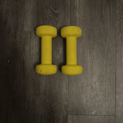 4lb Dumbbells (8lbs Total)