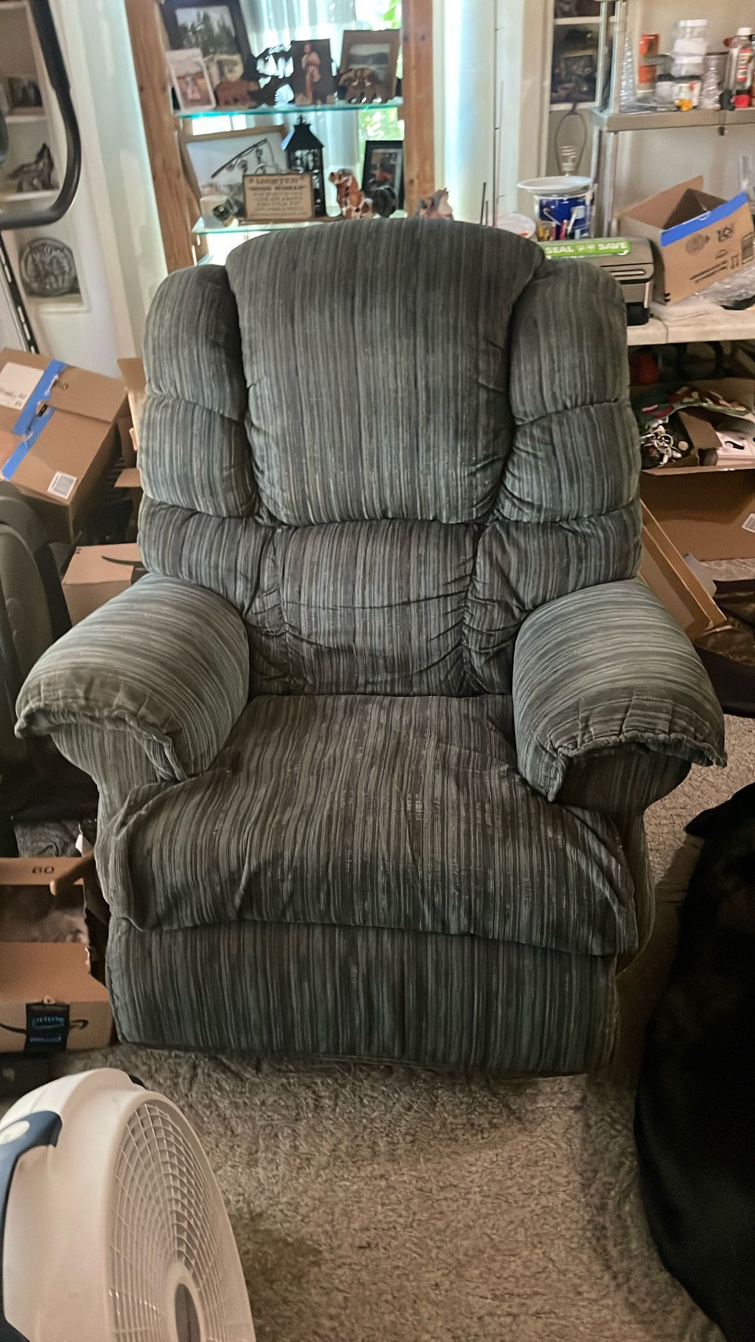 Comfy Recliner