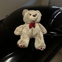 Teddy Bear 