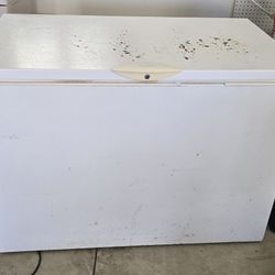 Big Frigidaire Deep Freezer