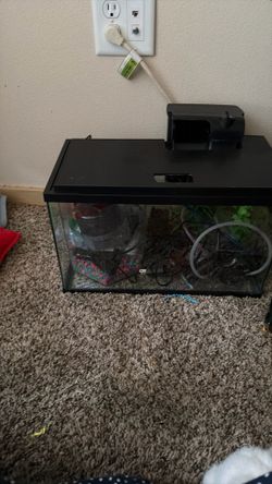 Small fish tank