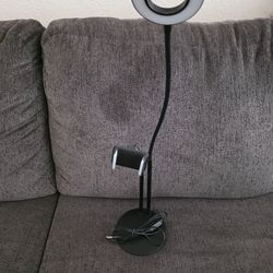 Ring light