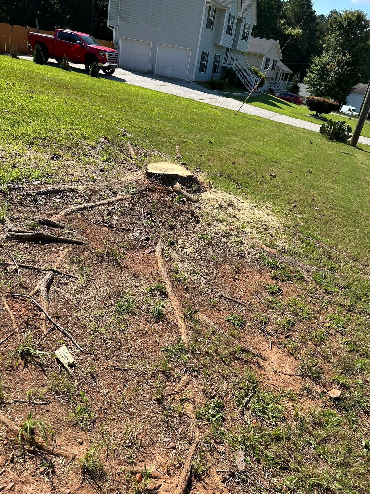 Stump Grinding