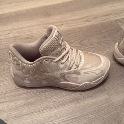 Puma Lemolo’s