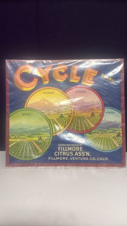 Vintage California Citrus Crate Label Art – “Cycle” Brand