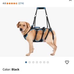 Dog lift harness XL size