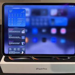 iPad Pro M4 256gb Silver With Two Cases, Box, Screen Protector