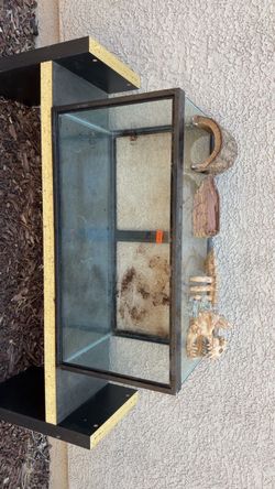 Aquarium tank