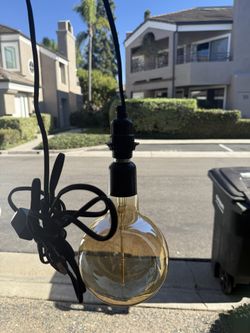 Halloween Or Any Other Occasion Edison Lights