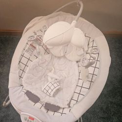 Baby Bouncer