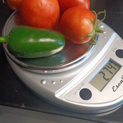 Scale 