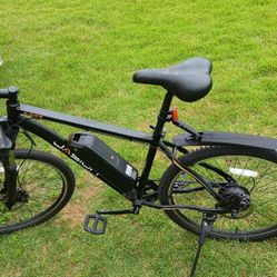 Jasion E bike