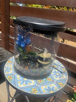 small fish tank