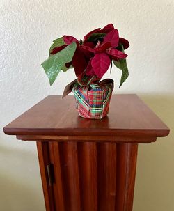 Christmas decoration