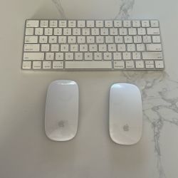 1 Apple Magic keyboard & 2 Magic Mouse (second gen)