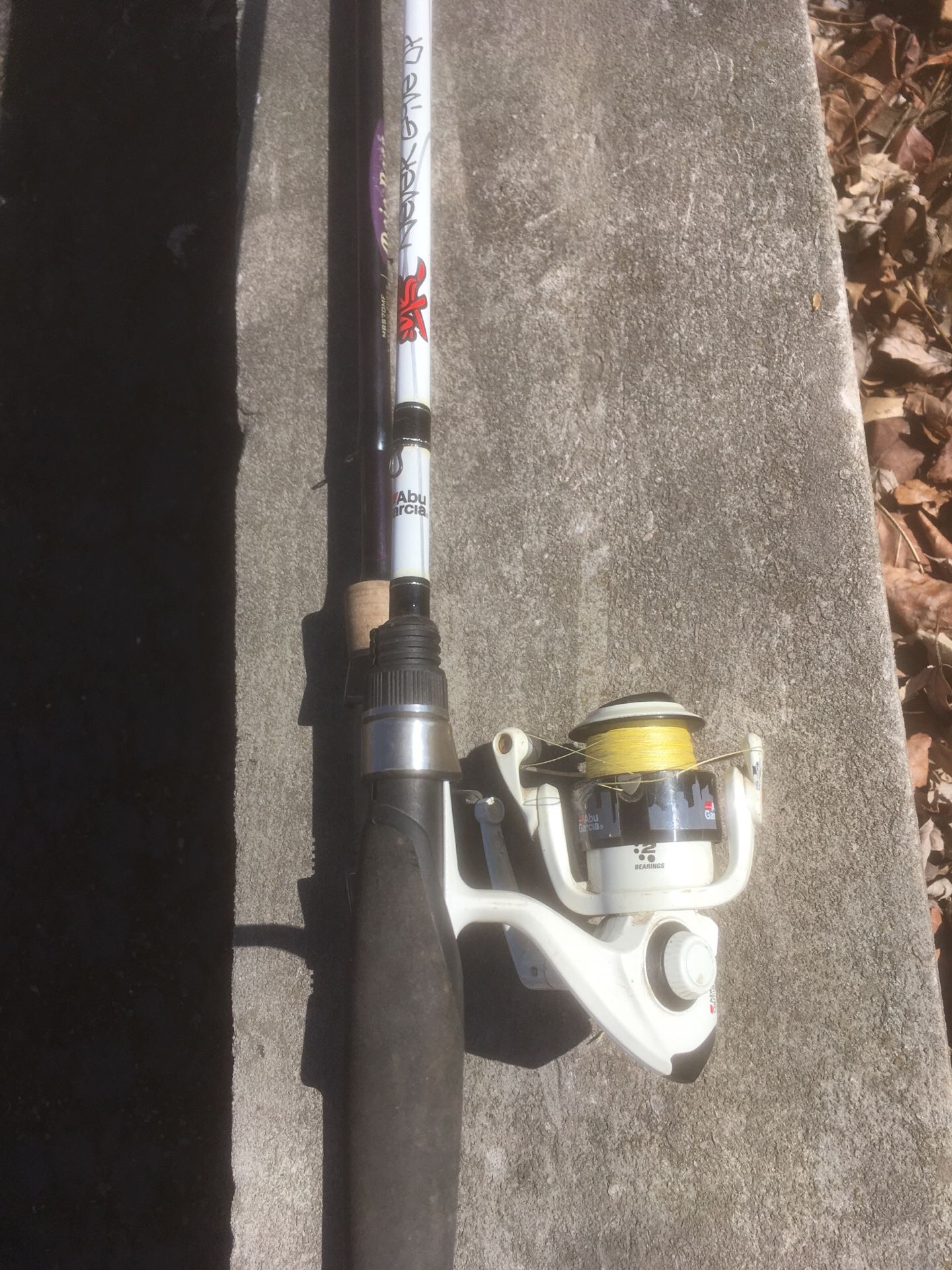 Fishing rod