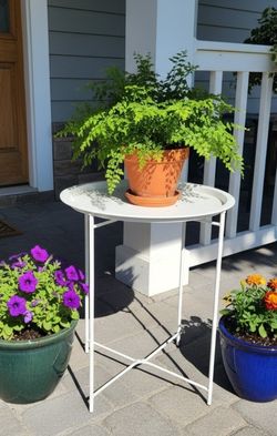 $20 Any Two Plant Stands Planter Garden Pedestals 