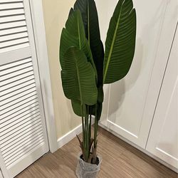 Faux Bird of Paradise Plant 48inch