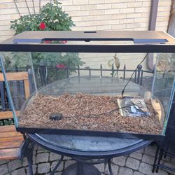 Fish Lizard tank 30 gallon 