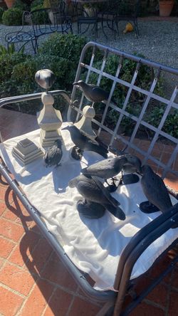 Scary Black Crows!