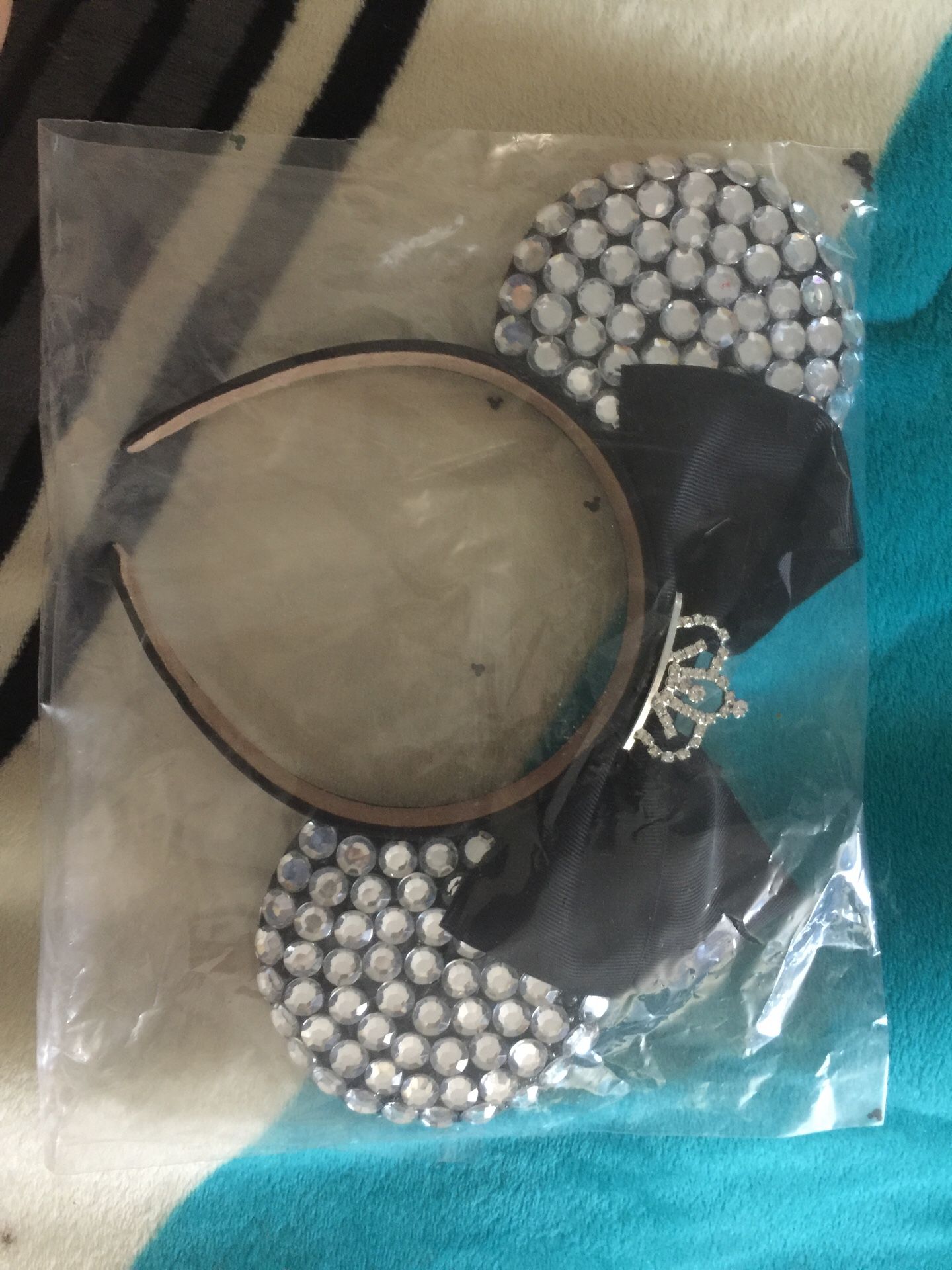 Dazzled Disney Ears