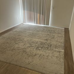 Area Rug 9’ x 12’6”