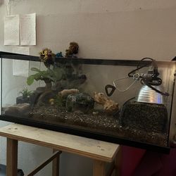Reptile/Fish Tank
