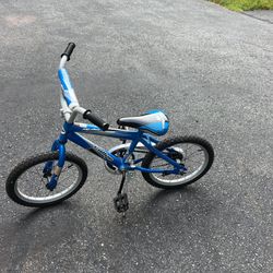 Bike, 16 Inches