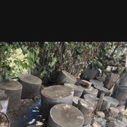 Log Seats Pot Holder Or Plant Stand Wood 