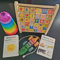Colorful Fun Learning Developmental Toddler Play Toys Book Lot