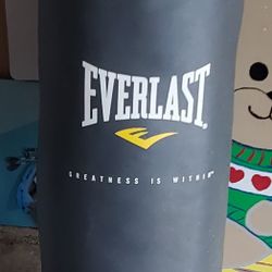 Everlast 60 Pound Heavy Bag