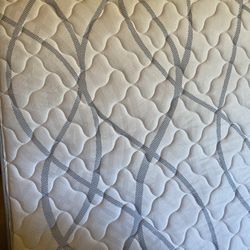 Serta Perfect Sleeper Brindale 2 Full Size Mattress And Box Spring