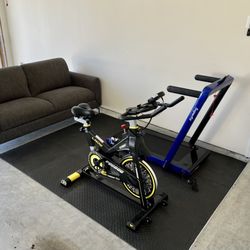 GYM SET UP !!!!! NEED GONE ASAP!! $500 OBO !!