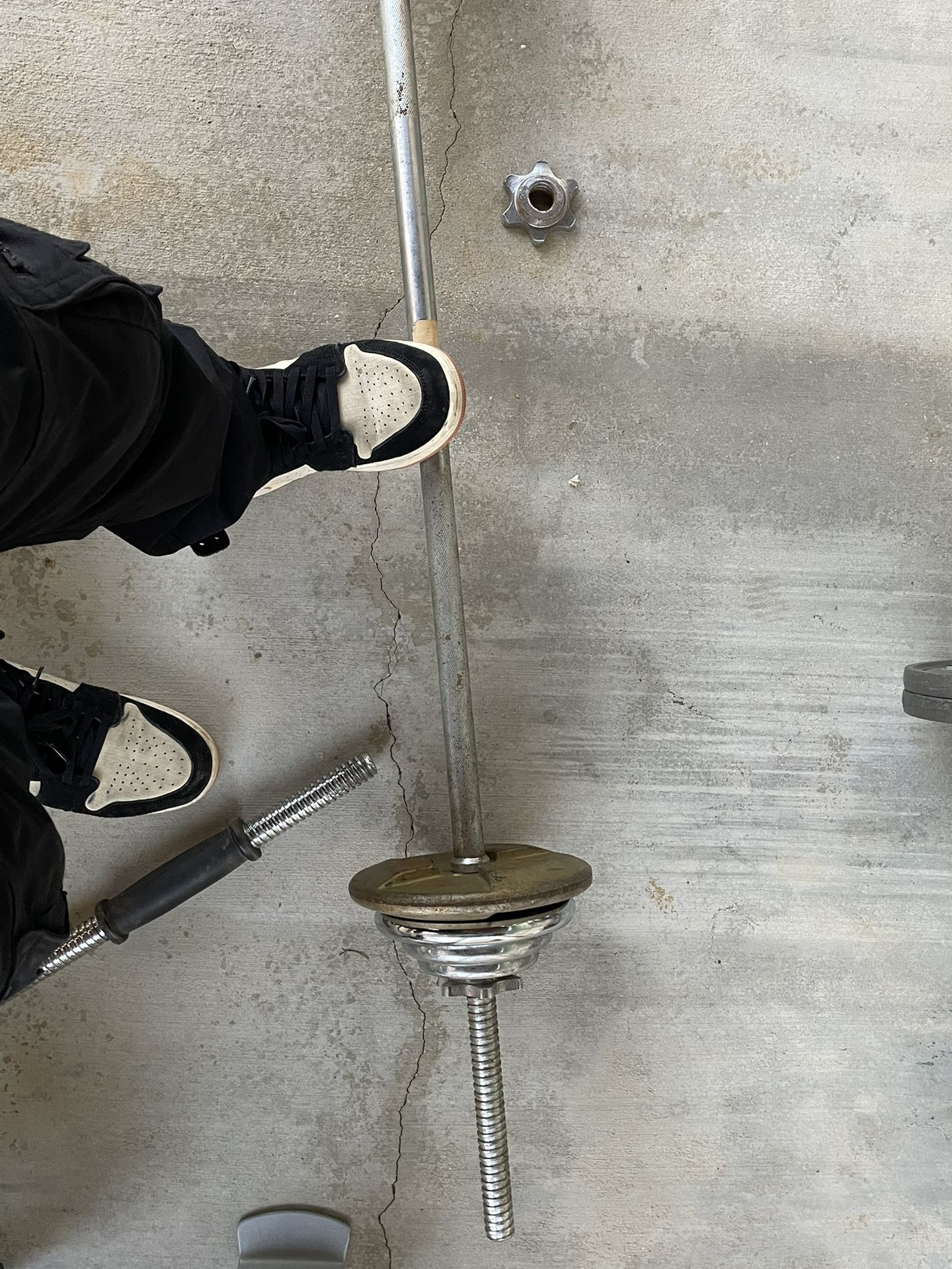 Barbell With Plates