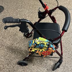 Walker (Hardly Used) 