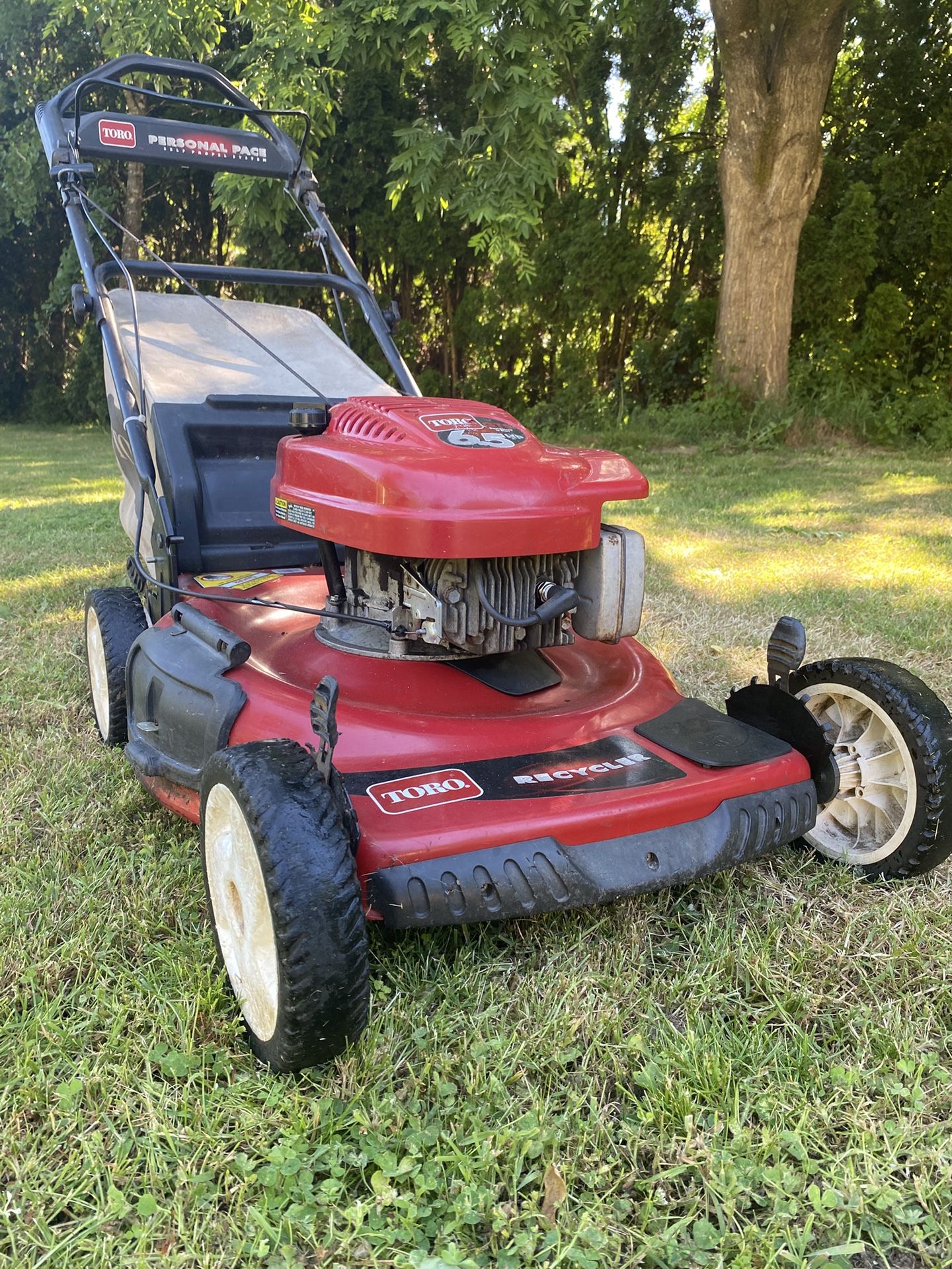 Toro Recycler Self Propelled Lawn Mower