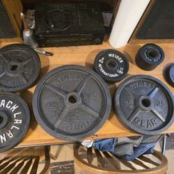 Olympic Weights, Punching Bag, Preacher Curl Stand