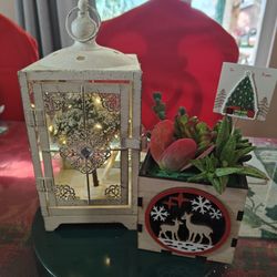 Cute Xmas Wooden Box With Succulents/Plants 