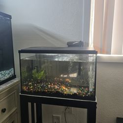 10 Gallon Aquarium With Stand