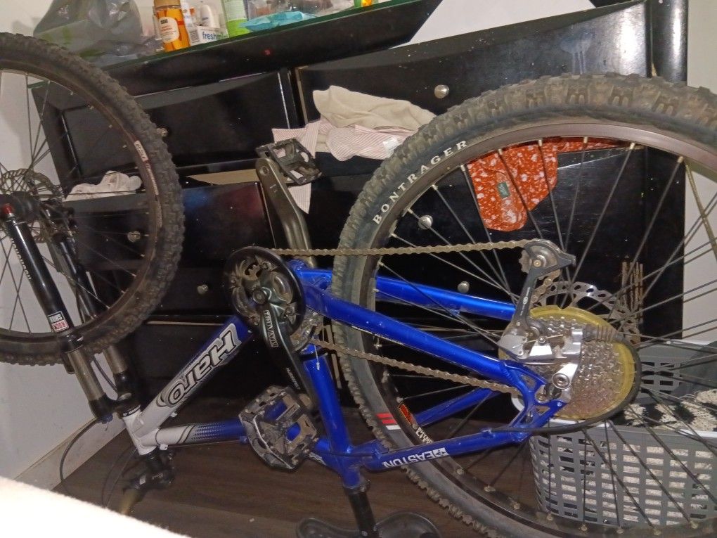 Blue Haro