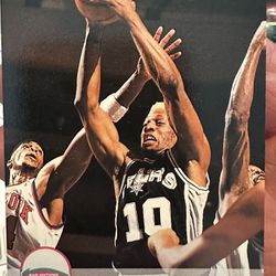 1993 Hoops Dennis Rodman