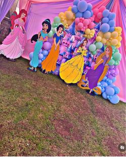 Disney Princess Party Decoration Set