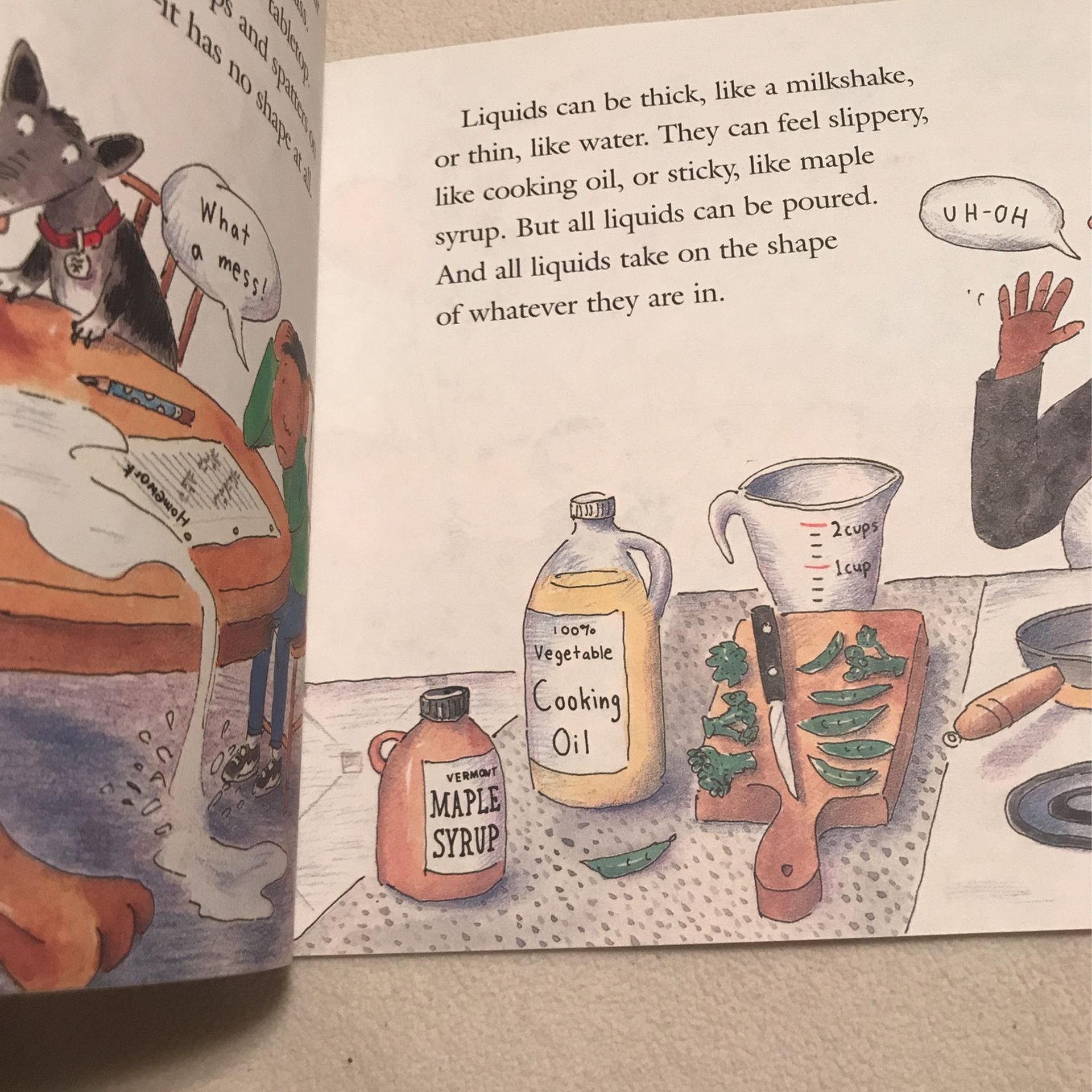 What Is The World Made Of? Book
