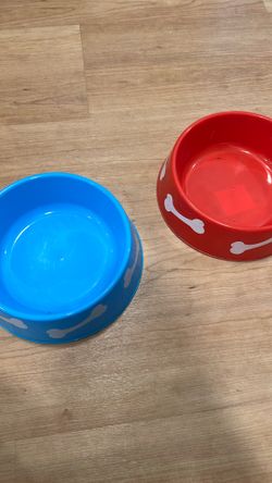 Dog Bowls 