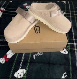 Uggs