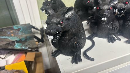 Halloween rats five dollars each