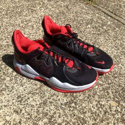 Nike Air Paul George Shoes