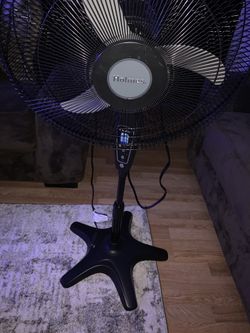 Fan
