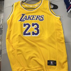 JAMES   LA   LAKERS 
